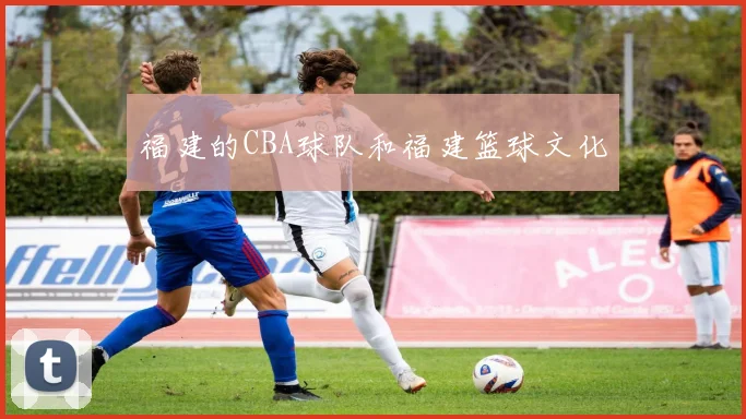 福建的CBA球队和福建篮球文化