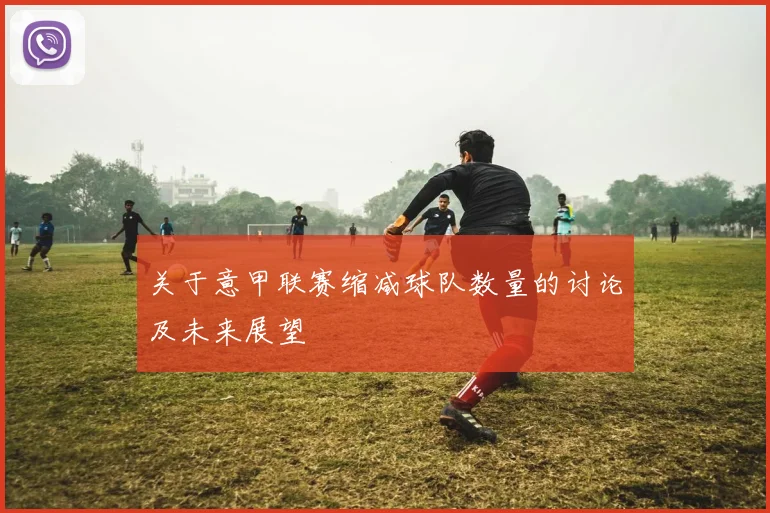 关于意甲联赛缩减球队数量的讨论及未来展望