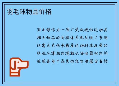 羽毛球物品价格