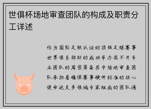 世俱杯场地审查团队的构成及职责分工详述